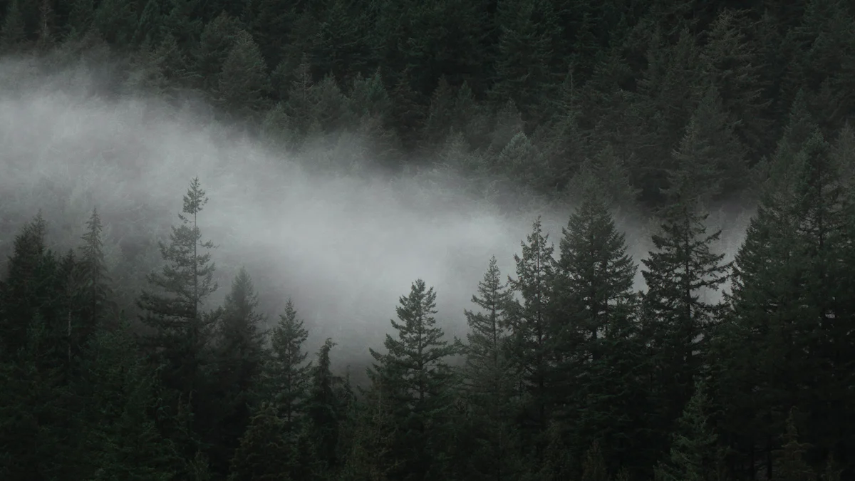 55b87d89dd064ded84899f7e894627ac Black Forest 1.1: Scopri le Novità