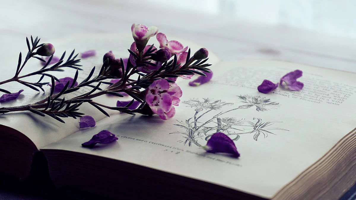 NotebookLM: nuove funzionalità che rivoluzionano l'esperienza